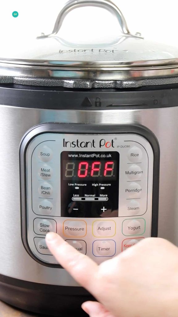 Instant Pot Review | Slimming & Weight Watchers Friendly