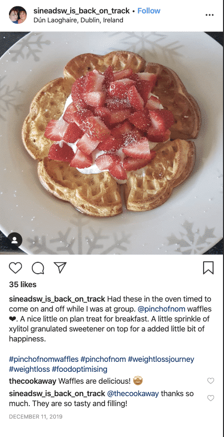 Strawberry and Vanilla Waffles - Pinch of Nom Slimming Recipes