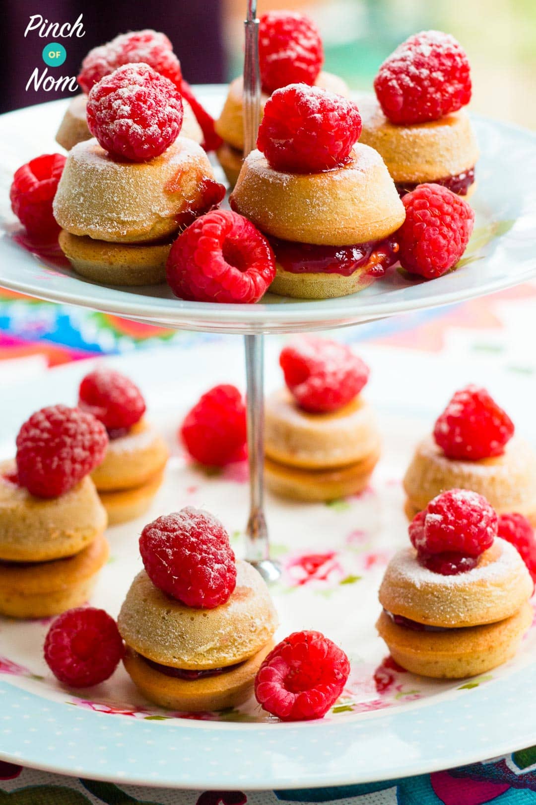 Getting the Most Out of Your Pinch of Nom Cookbook