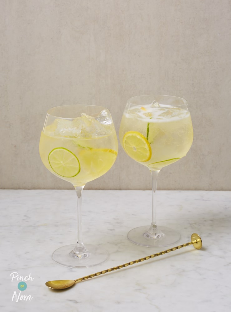 Elderflower Gin Fizz - Pinch of Nom Slimming Recipes