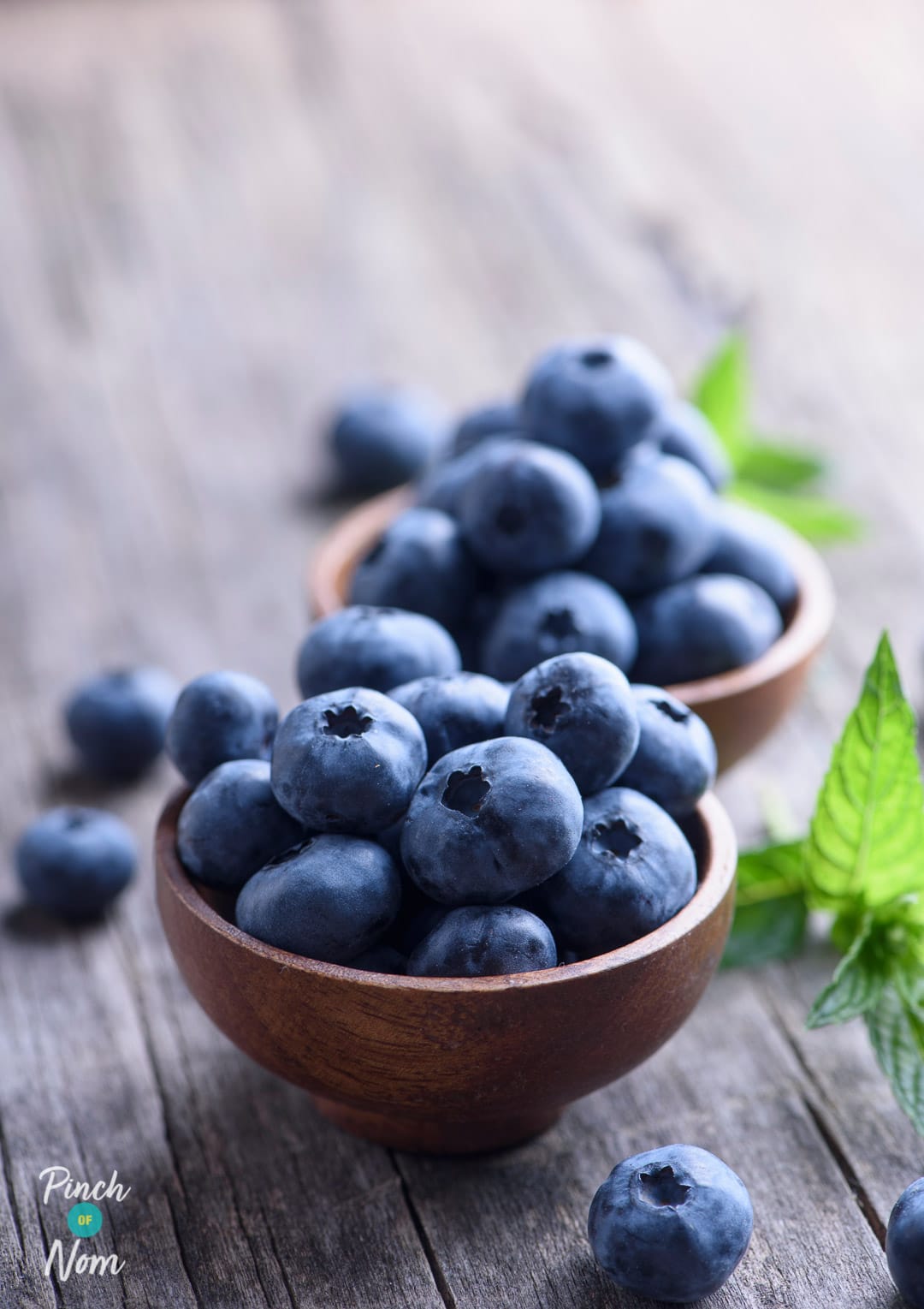 Fruit Vinegar - Pinch of Nom Slimming Recipes