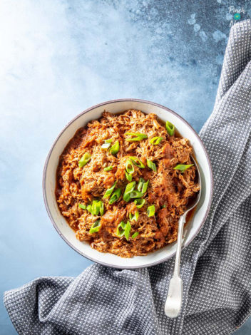 Cherry Cola Pulled Pork pinchofnom.com