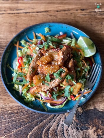 Sticky Chicken and Pineapple Salad pinchofnom.com