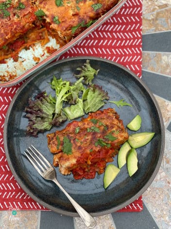 Spicy Salsa Cannelloni pinchofnom.com