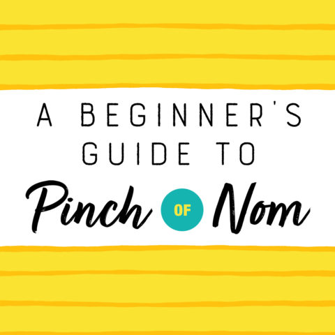 A Beginner’s Guide to Pinch of Nom pinchofnom.com