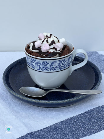 Hot Chocolate Microwave Mug Cakes pinchofnom.com