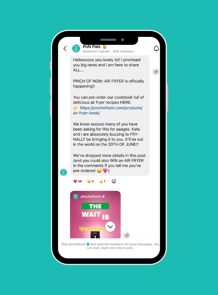 A screenshot of Pinch of Nom's PON Pals broadcast channel on Instagram, sharing an announcement about an upcoming cookbook, Pinch of Nom: Air Fryer.