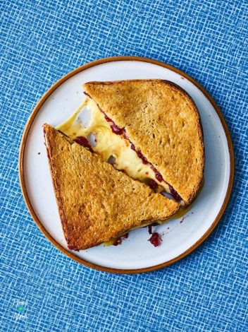 Air Fryer Gouda and Cranberry Toastie pinchofnom.com