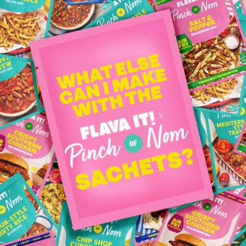 What Else Can I Make with the Pinch of Nom x Flava It! Recipe Mixes? pinchofnom.com